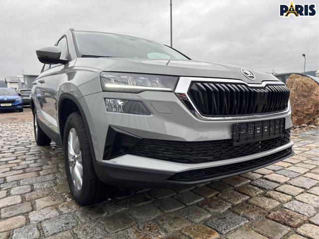 Skoda / Karoq / Grau / / / , Beispielbilder, ggf. teilweise mit Sonderausstattung