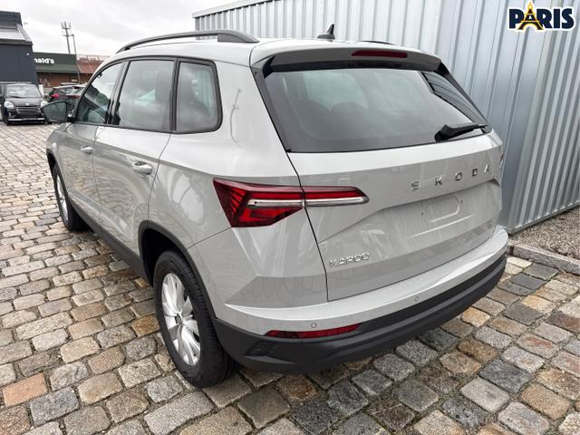 Skoda / Karoq / Grau / / / , Beispielbilder, ggf. teilweise mit Sonderausstattung