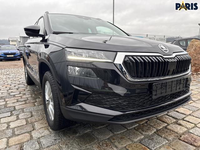 Skoda / Karoq / Schwarz / / / , Beispielbilder, ggf. teilweise mit Sonderausstattung