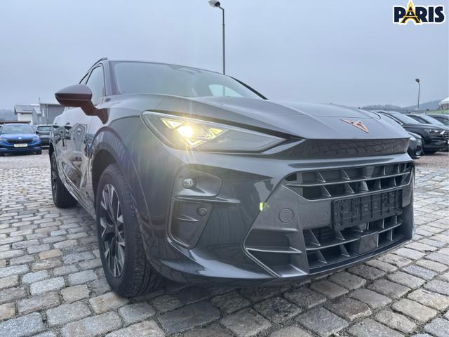 Cupra / Terramar / Grau / / / 