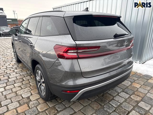 Skoda / Kodiaq / / / / , Beispielbilder, ggf. teilweise mit Sonderausstattung