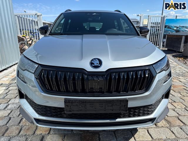 Skoda / Karoq / Grau / / / , Beispielbilder, ggf. teilweise mit Sonderausstattung