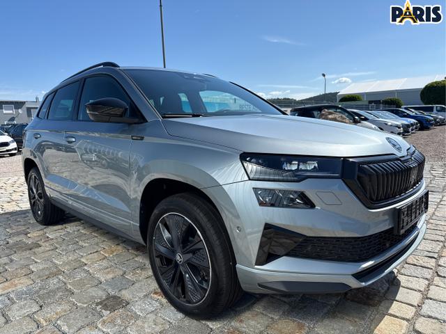 Skoda / Karoq / Grau / / / , Beispielbilder, ggf. teilweise mit Sonderausstattung