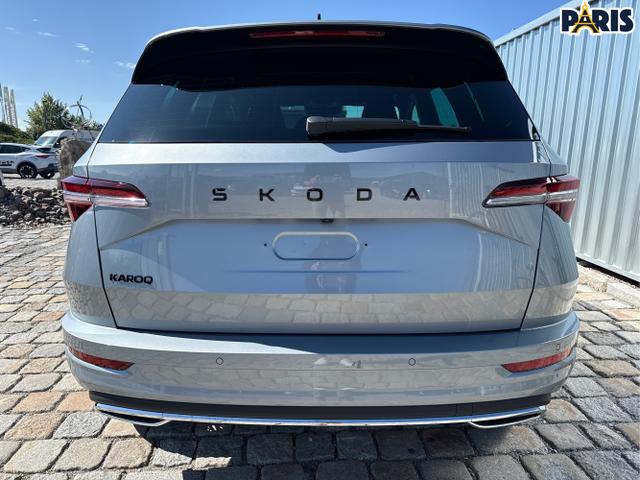 Skoda / Karoq / Grau / / / , Beispielbilder, ggf. teilweise mit Sonderausstattung