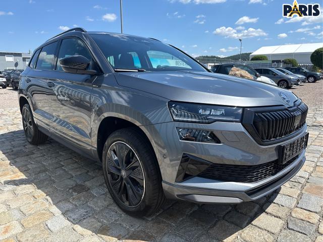 Skoda / Karoq / Grau / / / , Beispielbilder, ggf. teilweise mit Sonderausstattung