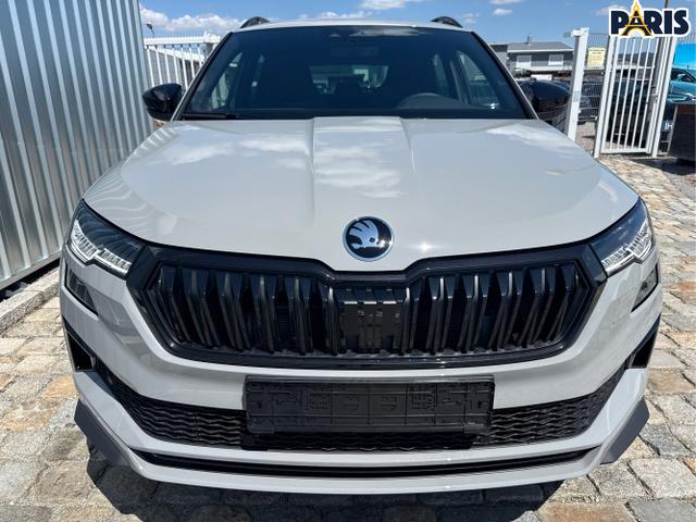 Skoda / Karoq / Grau / / / , Beispielbilder, ggf. teilweise mit Sonderausstattung
