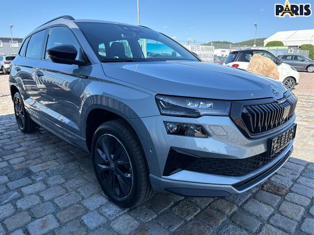 Skoda / Karoq / Grau / / / , Beispielbilder, ggf. teilweise mit Sonderausstattung