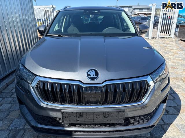 Skoda / Karoq / Grau / / / , Beispielbilder, ggf. teilweise mit Sonderausstattung
