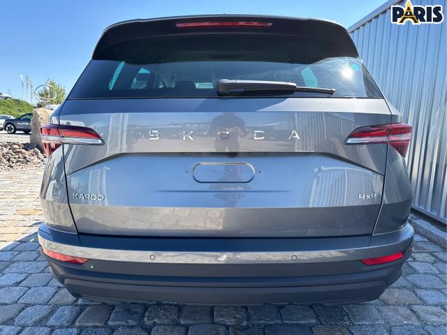 Skoda / Karoq / Grau / / / , Beispielbilder, ggf. teilweise mit Sonderausstattung