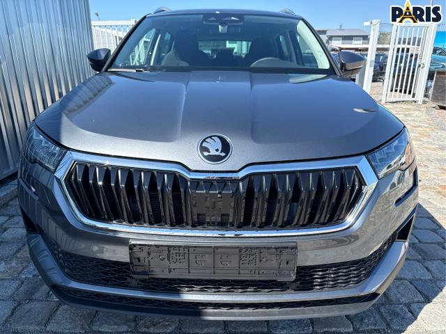 Skoda / Karoq / Grau / / / , Beispielbilder, ggf. teilweise mit Sonderausstattung