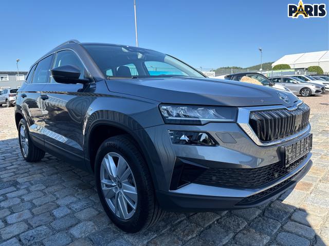 Skoda / Karoq / Grau / / / , Beispielbilder, ggf. teilweise mit Sonderausstattung