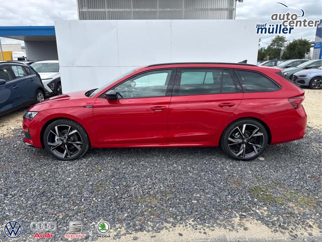 Skoda / Octavia / Grau / / / 