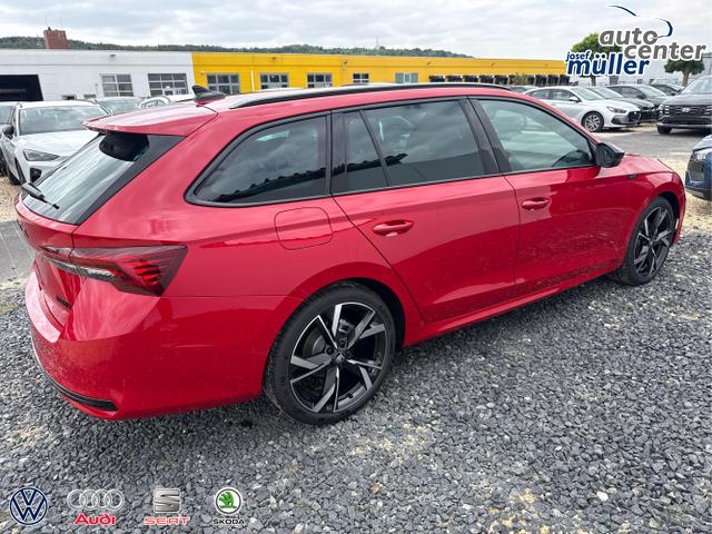 Skoda / Octavia / Grau / / / 