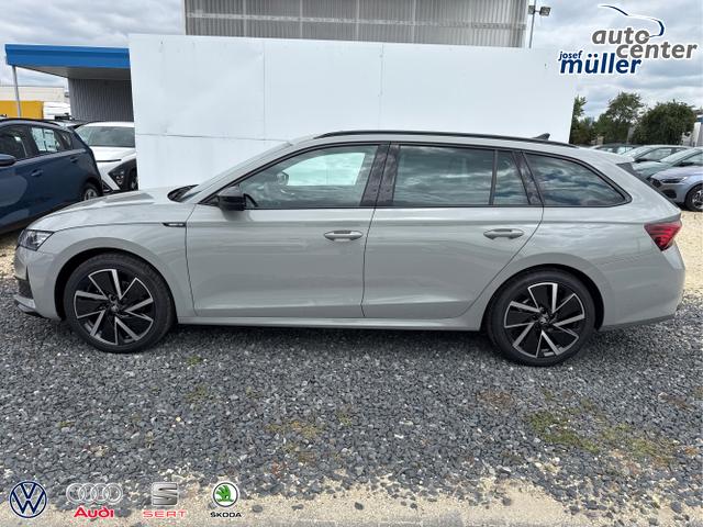 Skoda / Octavia / Grau / / / 