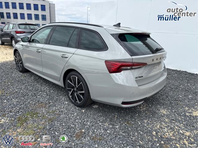 Skoda / Octavia / Grau / / / 