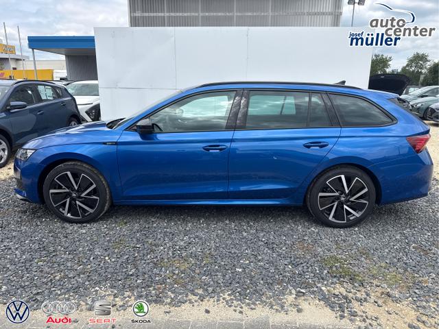 Skoda / Octavia / Grau / / / 