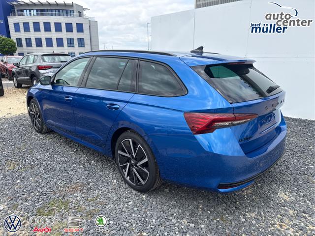 Skoda / Octavia / Grau / / / 