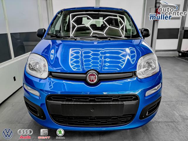 Fiat Panda Pandina KLIMA PDC EL.PAKET 5 Kopfst&uuml;tzen 
