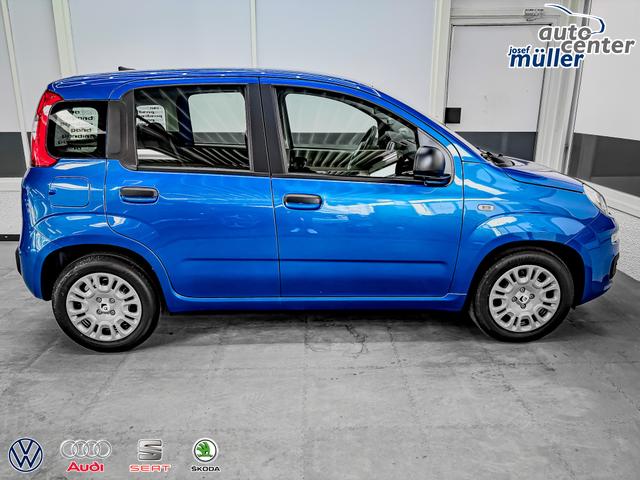 Fiat Panda Pandina KLIMA PDC EL.PAKET 5 Kopfst&uuml;tzen 