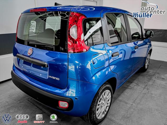 Fiat Panda Pandina KLIMA PDC EL.PAKET 5 Kopfst&uuml;tzen 