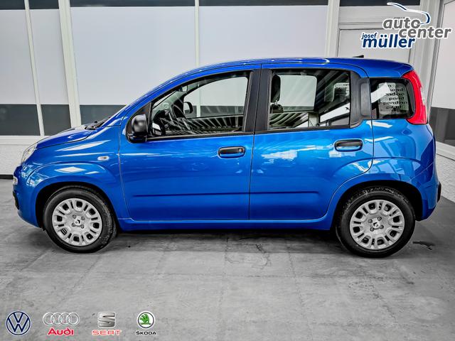 Fiat Panda Pandina KLIMA PDC EL.PAKET 5 Kopfst&uuml;tzen 