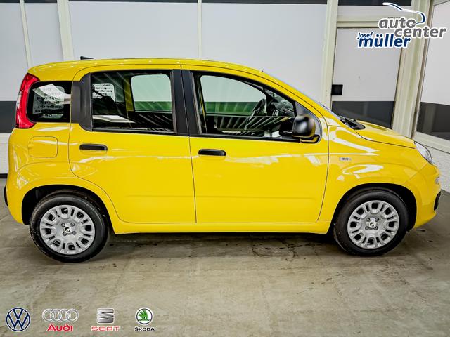 Fiat Panda Pandina KLIMA PDC EL.PAKET 5 Kopfst&uuml;tzen 