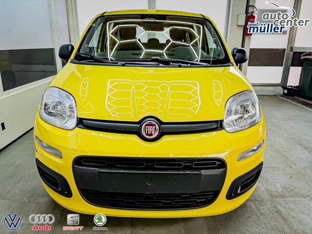 Fiat Panda Pandina KLIMA PDC EL.PAKET 5 Kopfst&uuml;tzen 