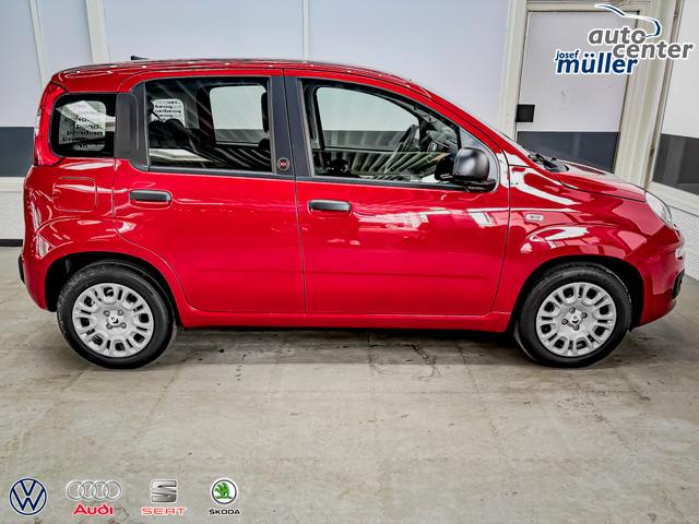 Fiat Panda Pandina KLIMA PDC EL.PAKET 5 Kopfst&uuml;tzen 