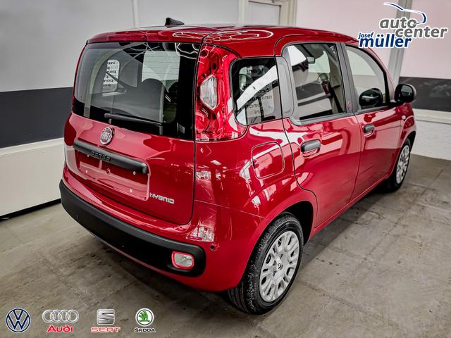 Fiat Panda Pandina KLIMA PDC EL.PAKET 5 Kopfst&uuml;tzen 