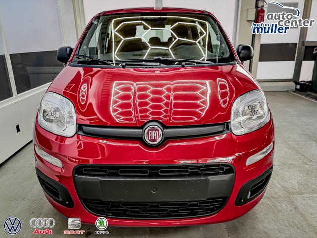 Fiat Panda Pandina KLIMA PDC EL.PAKET 5 Kopfst&uuml;tzen 
