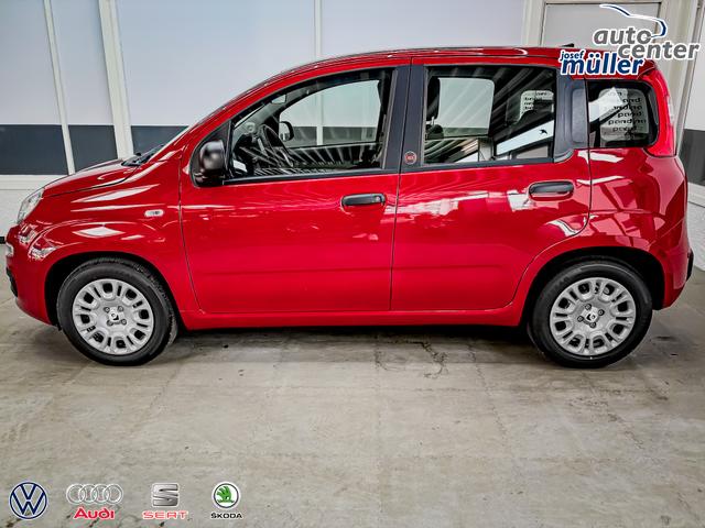 Fiat Panda Pandina KLIMA PDC EL.PAKET 5 Kopfst&uuml;tzen 