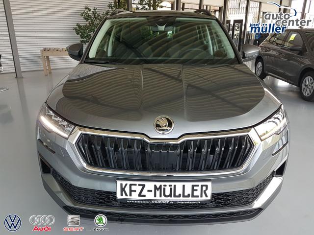 Skoda / Karoq / / / / 