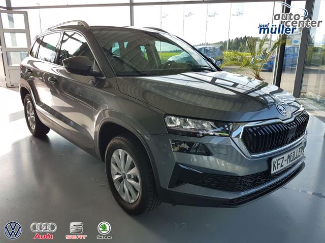 Skoda / Karoq / / / / 