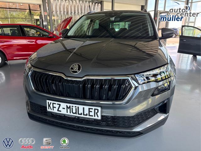 Skoda / Karoq / Grau / / / 
