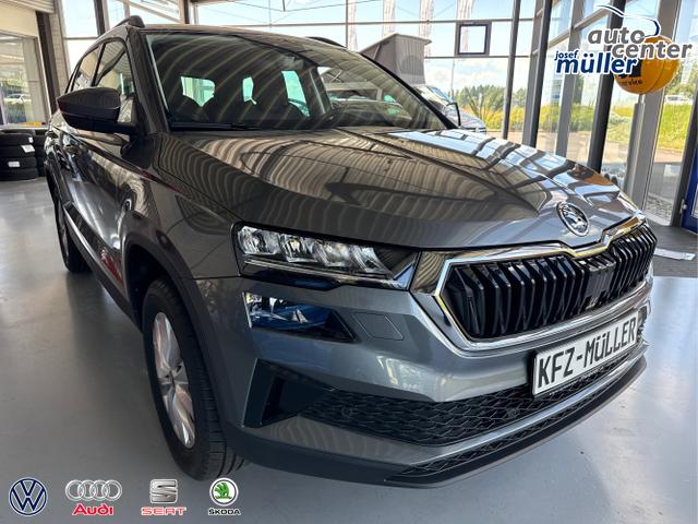 Skoda / Karoq / Grau / / / 