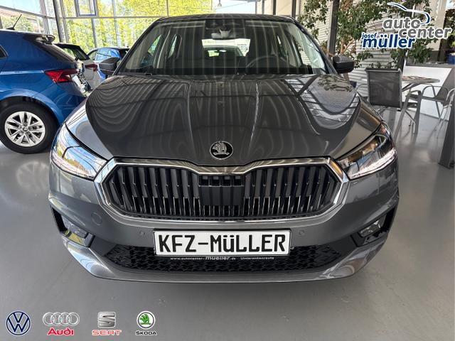 Skoda / Fabia / Grau / / / 