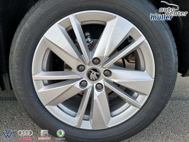 Skoda Karoq Selection 2.0 TDI DSG GV5 AHK 17 Ladeb 