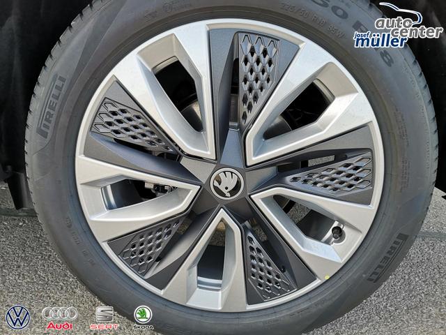 Skoda Karoq Selection 2.0 TDI DSG 4x4 GV5 AHK 18 Ladeb 