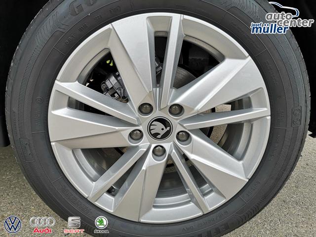 Skoda Karoq Selection 2.0 TDI DSG GV5 AHK 17 