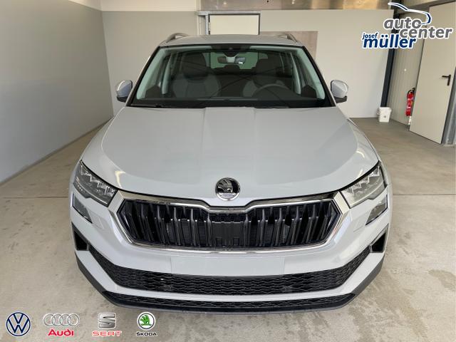 Skoda / Karoq / Grau / / / 150PS TDI DSG 4x4 AHK+Navi+ACC+Kamera+Sitzheiz+eHeck+GV5