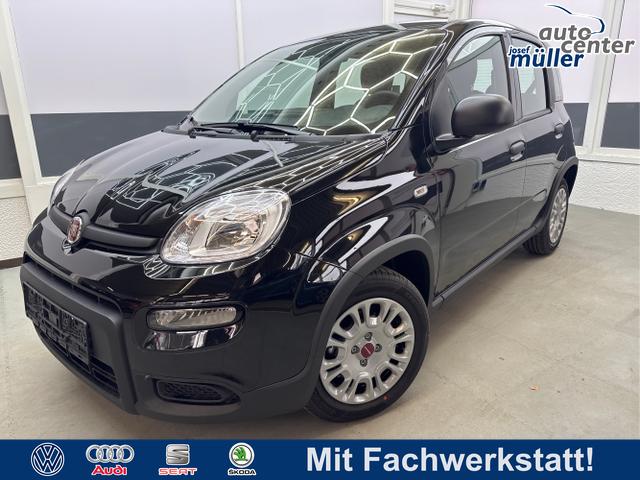 Fiat Panda - EDITION KOPFSTÜTZEN AUF RÜCKBANK PDC KLIMA EL.PAKET