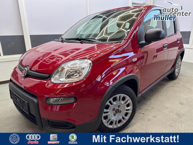 Fiat Panda - EDITION KOPFSTÜTZEN AUF RÜCKBANK PDC KLIMA EL.PAKET