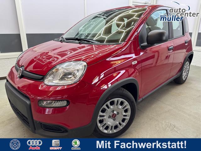 Fiat Panda - EDITION KOPFSTÜTZEN KLIMAAUTOMATIK AUF RÜCKBANK PDC EL.PAKET