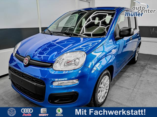 Fiat Panda - Pandina KLIMA PDC EL.PAKET 5 Kopfst&uuml;tzen