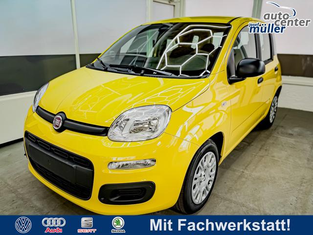 Fiat Panda - Pandina KLIMA PDC EL.PAKET 5 Kopfst&uuml;tzen