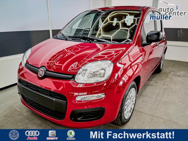 Fiat Panda - Pandina KLIMA PDC EL.PAKET 5 Kopfst&uuml;tzen