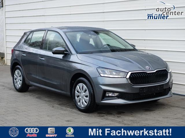 Skoda Fabia - Selection 1.0 TSI DSG *SHZ*LED*KLIMAAUTO.