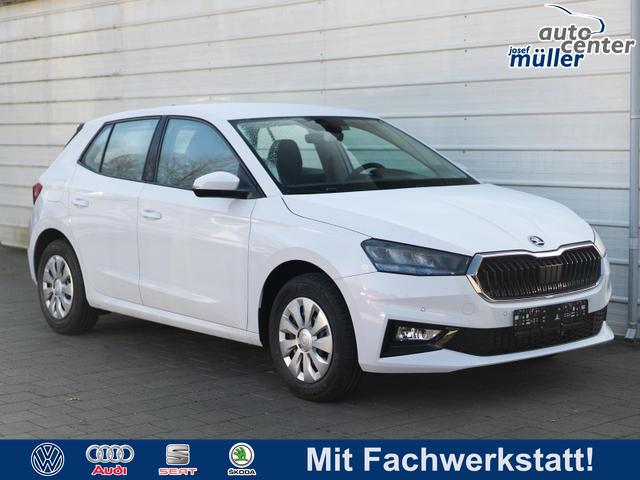 Skoda Fabia - Selection 1.0 TSI DSG *SHZ*LED*KLIMAAUTO.