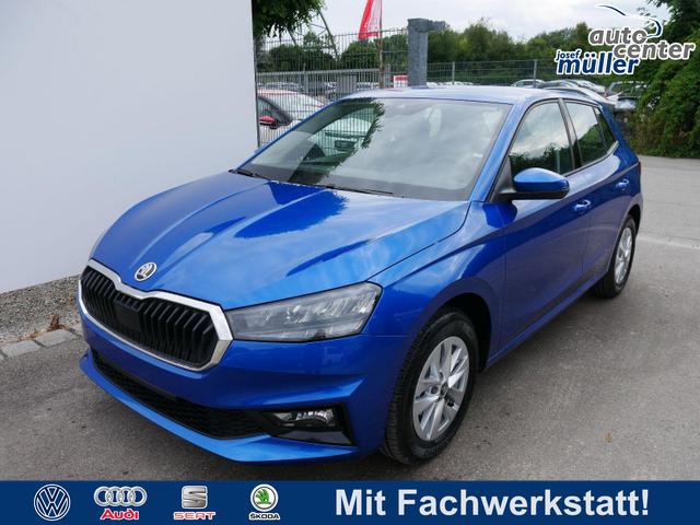 Skoda Fabia - 130 Jahre 1,0 MPI*LED*PDC HI.*RFK*APP-CONNECT*SHZ*KESSY*KLIMA*DAB*