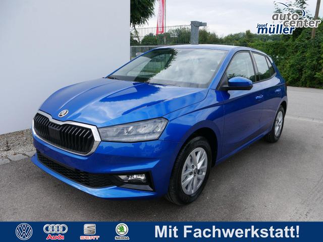 Skoda Fabia - PREMIUN EDITION 130 JAHRE 1,0 TSI *SMARTLINK*PDC*KAMERA*LED*SHZ* 15 ZOLL